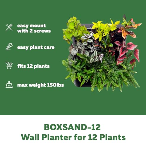 White Wall Planter with Black Square Pots M350