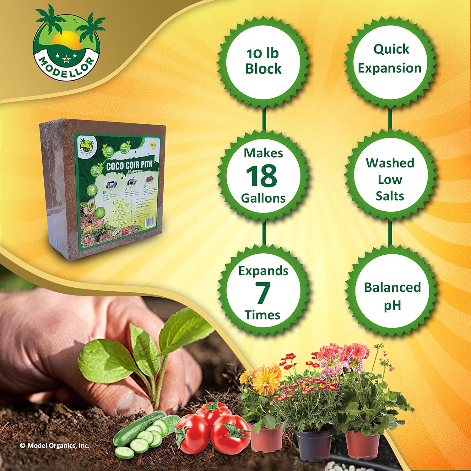 Coco Coir Brick 10 lb. Q50070