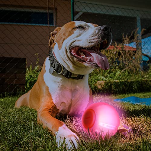 LED Dog Ball, Silicon Glowing Dog Toy Ball with USB Rechargeable R46128