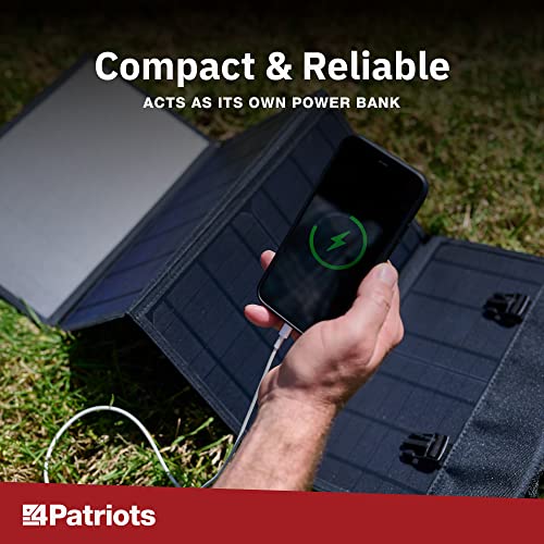 Patriot Power Sidekick Generator G8019