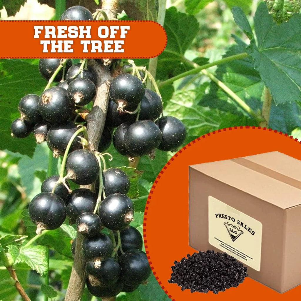 Dried Seedless Grapes, 10 lbs. A455