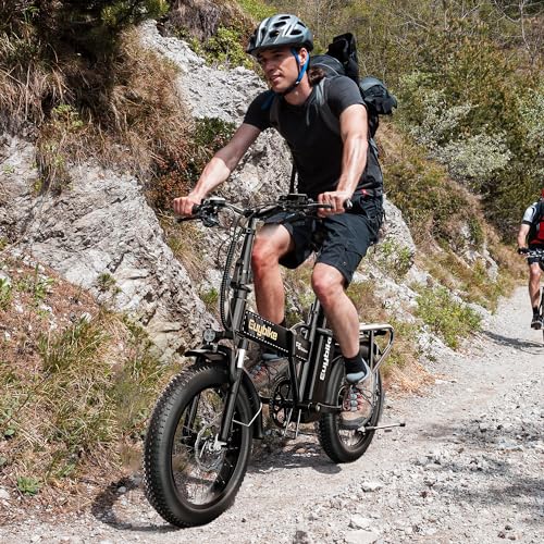 20" Fat Tire Folding Electric Bike with 48V 20AH Removable Battery Q99011