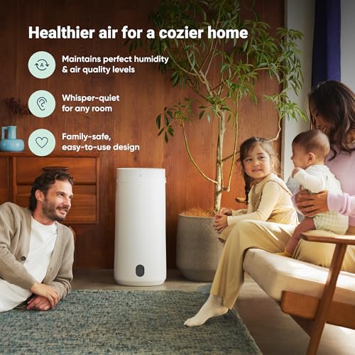 HEPASilent Air Purifier C61258