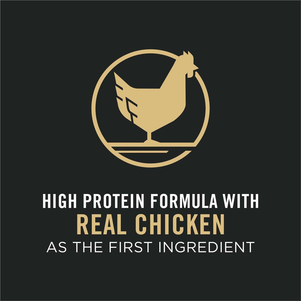 Adult Shredded Blend Chicken & Rice Dry Dog Food B717