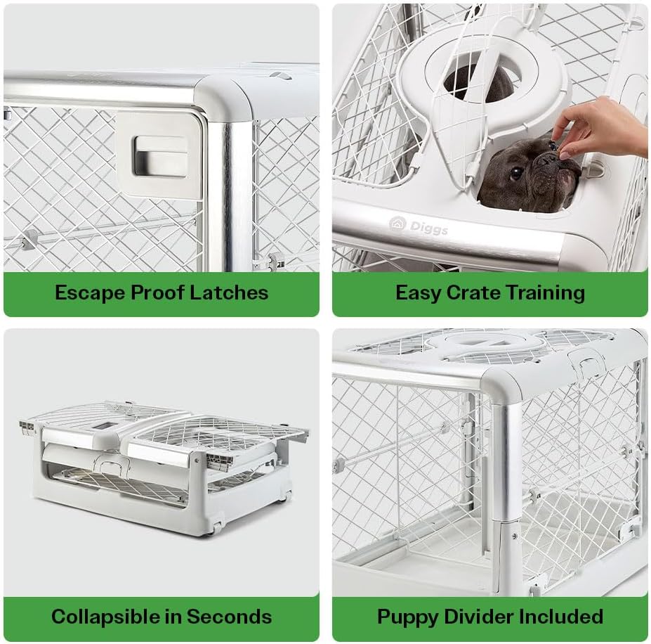 Collapsible Dog Crate (Ash) D683