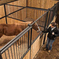 Standard Horse Side Stall Y80854