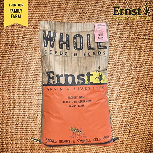 Feed Grade Oats, 50 lb X325