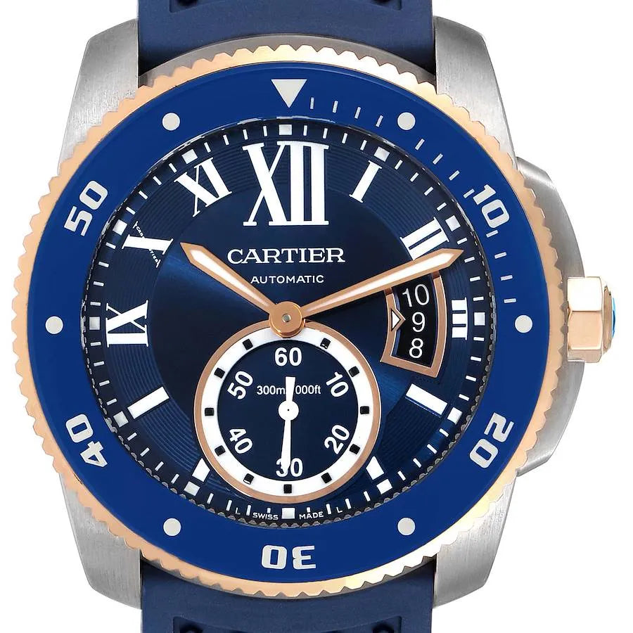 Leather Watch W306486