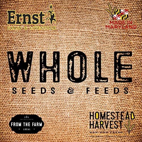 Feed Grade Oats, 50 lb X325