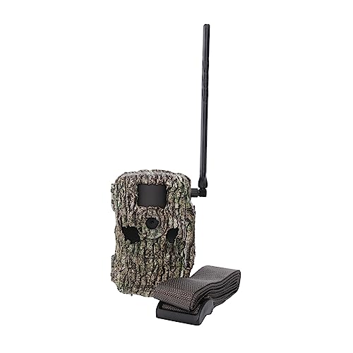 Treebark Camo 36MP 1080P Cellular Trail Camera with 32 GB SD Card and Card Reader (2-Pack) P1091