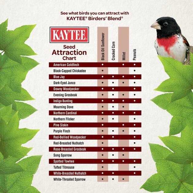Kaytee Birders Blend Wild Bird Food Z4405