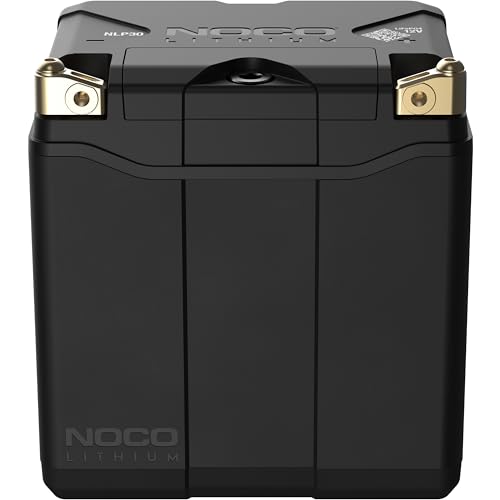12V Lithium Powersport Battery Group 30 8Ah A124727