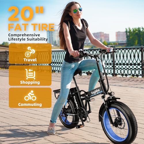 20" Fat Tire Folding Electric Bike with 48V 20AH Removable Battery Q99011