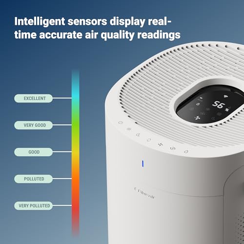 HEPASilent Air Purifier C61258